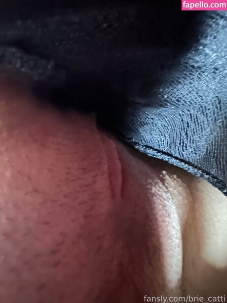 Brie cattii haut de star du porno image