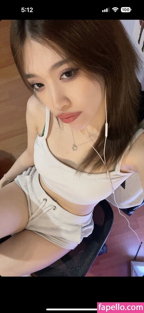 penpuin modèle joli image