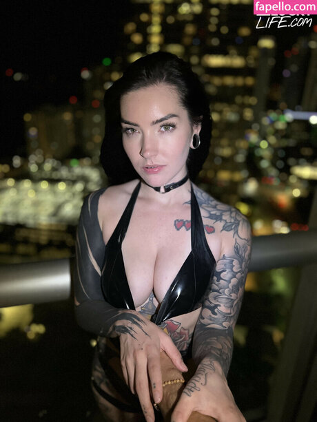 Mr Lucky POV étoile gratuite archive