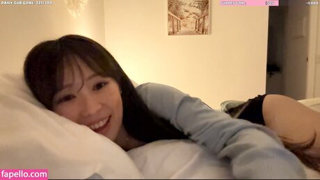 hello kiko étoile magnifique collection