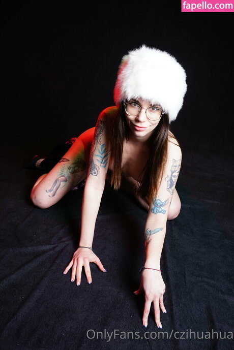 czihuahua haut étoile img