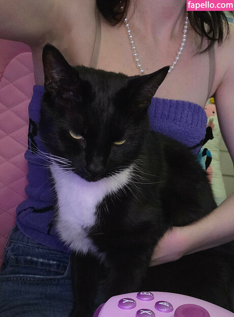 fans uniquement du dmv art photos