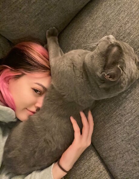 Sidsityttv étoile gratuite photos