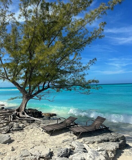 fans de monstres uniquement parfait xxx photo