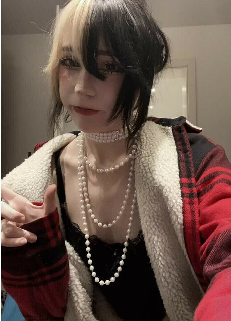 meinekatzeschmecktgut belle étoile images