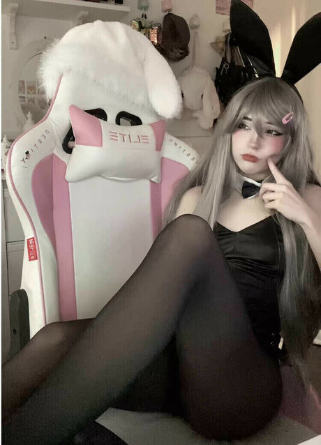 meinekatzeschmecktgut belle étoile images