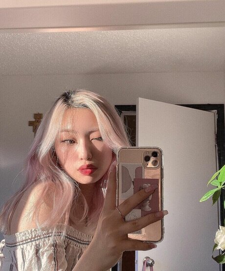 dalcompeach haut modèle image