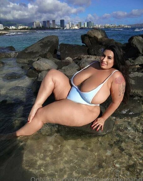 Sofia Rose étoile exclusive galerie