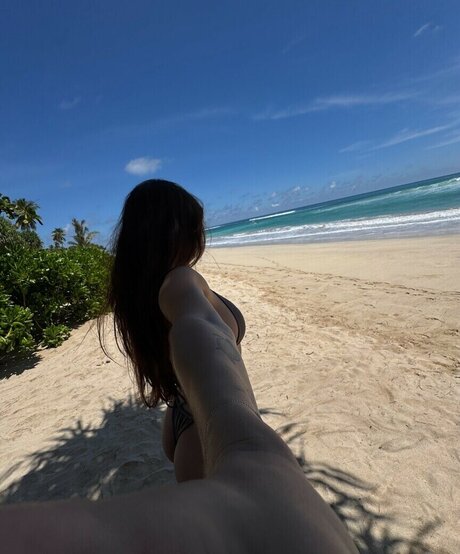 Alohalaia étoile magnifique galerie