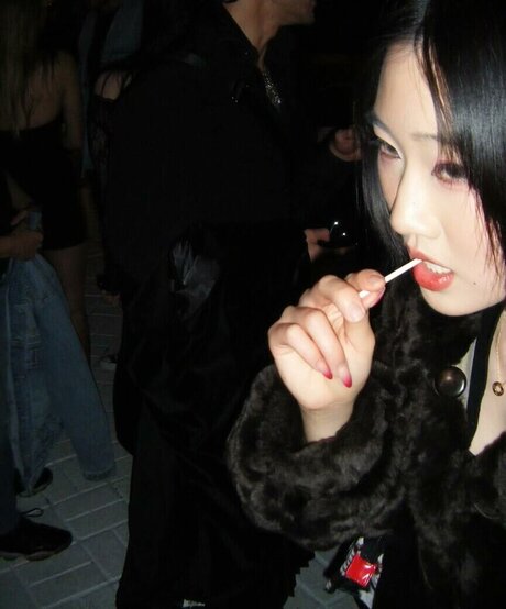 Lo3tus étoile adulte collection