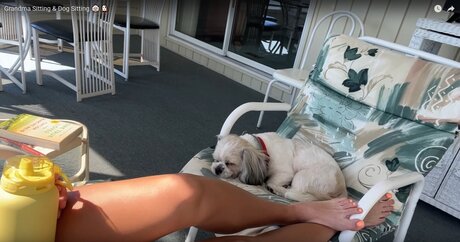 Beez ASMR belle star du porno image