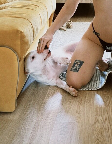 couple de fans uniquement sexe érotique images