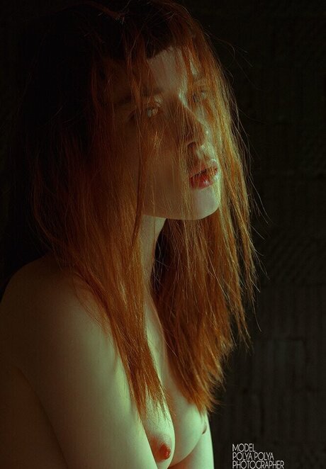 fans dia uniquement adulte exclusif collection