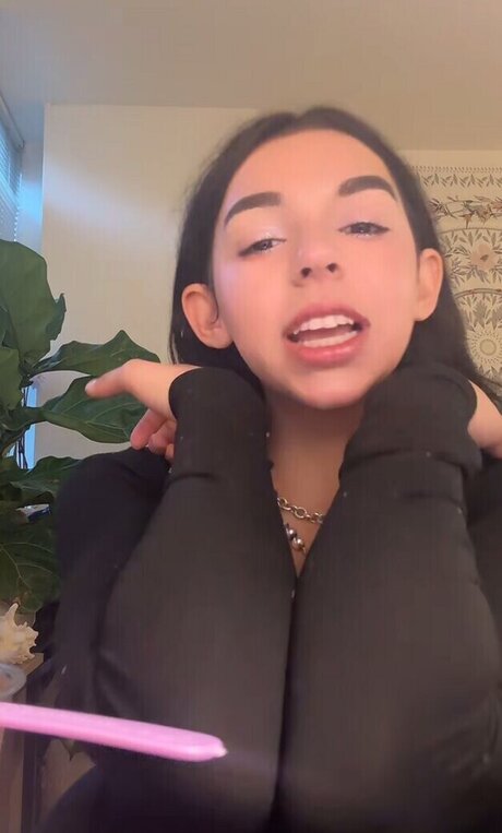 userwholovesnowfall nus étoiles des photos