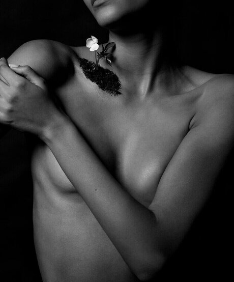 Peyton Farr haut étoile image