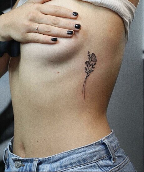 Marijn Kuipers art de star du porno image