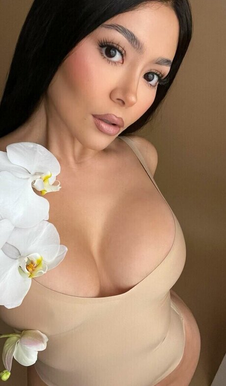 Daisy Marquez star du porno de haute qualité img