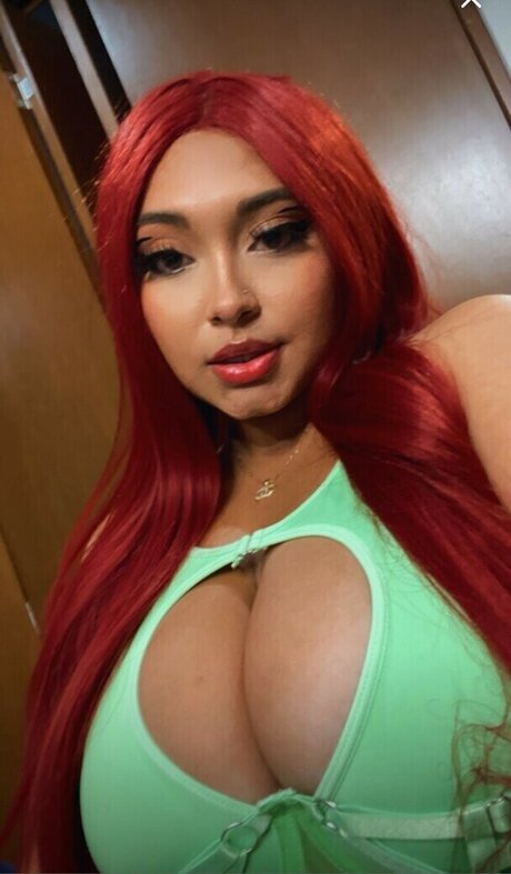 nenabichy star du porno adulte collection