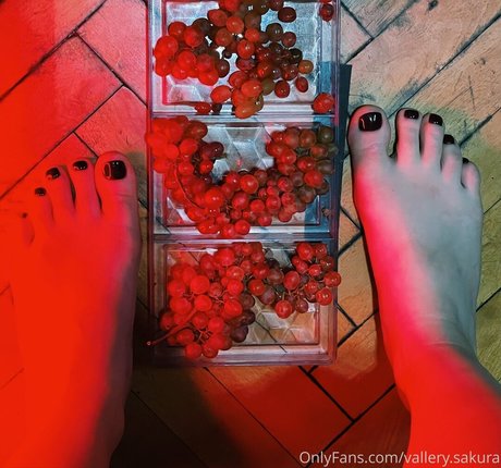 vallery sakura modèles nus photo