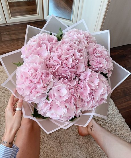 Daria Perel nus étoiles des photos