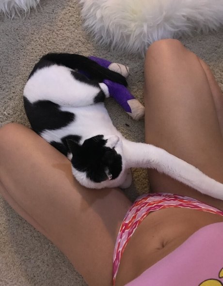 aidrafoxx modèle hd collection