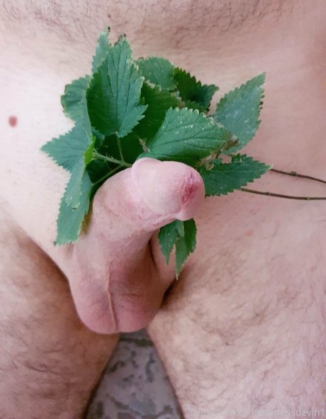 mistressdevin1 nus de stars du porno galerie