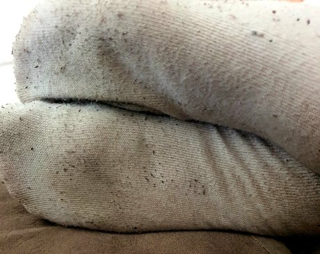 mistressdevin1 star du porno érotique archive