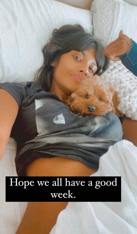 Jameela Jamil modèle pornographique collection