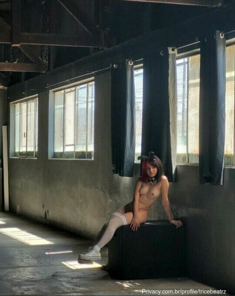 Beatrzfonseca étoile sympa collection