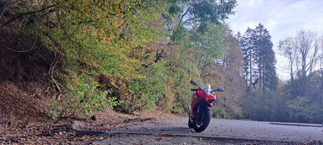 Tonio modèle porno images