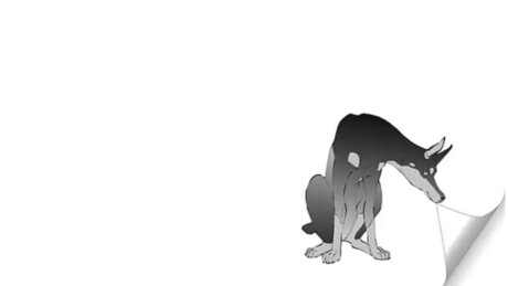 ponie_ jolie étoile img