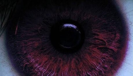 Your Friendly Neighborhood Trans Fem Boi actrice img