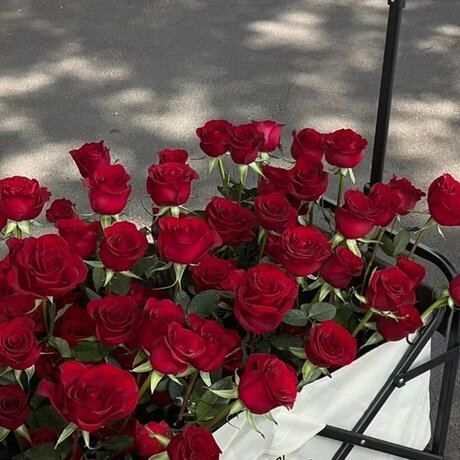 RedJeans mannequin galeries