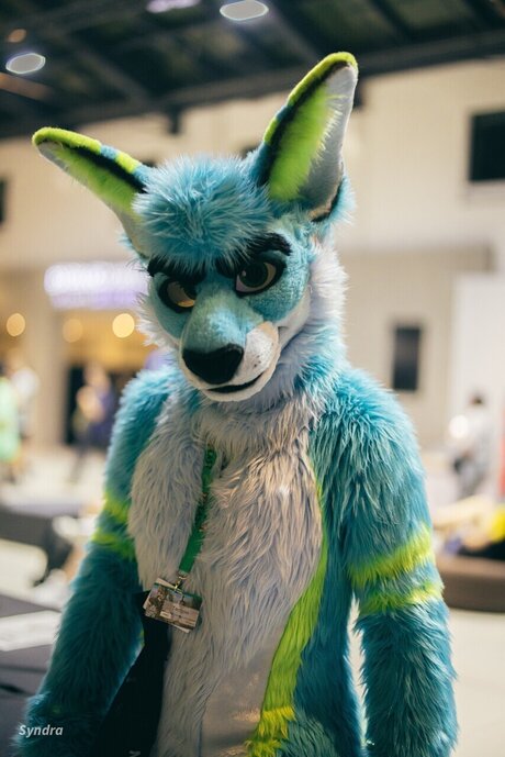 TechRoo and Zoomy modèle hd galerie