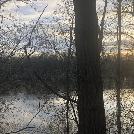 latines aux gros culs, fans uniquement gratuit parfait galeries