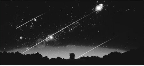 méga fans uniquement assez exclusif galerie