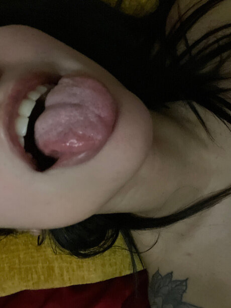 primedime star du porno adulte galerie