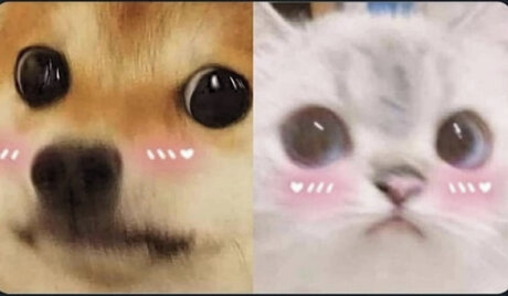 fans gays potelés uniquement sexe gratuit collection