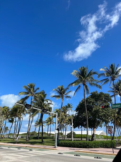 jeunes adolescents onlyfans xxx de haute qualité photos