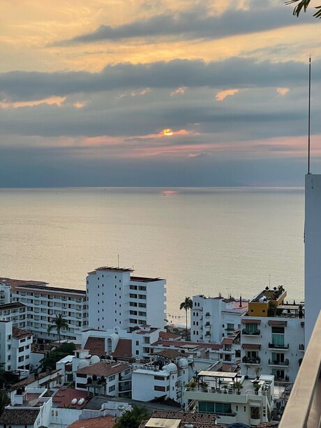 Pig Daddy_ star du porno sympa galeries