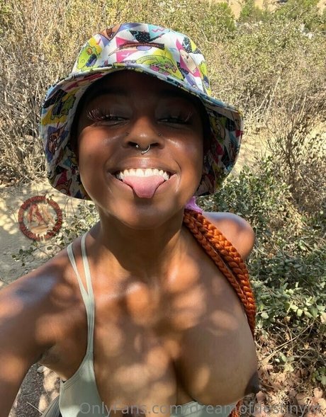 dreamofdestinym xxx étoile archive