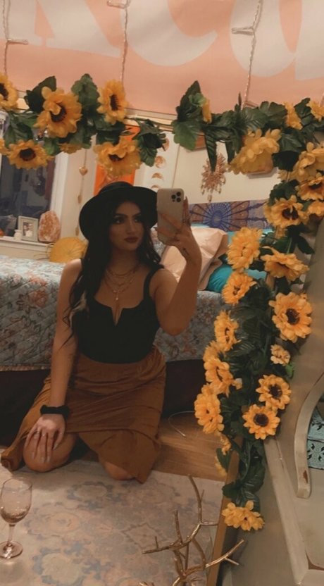 rockinrach nus star du porno collection