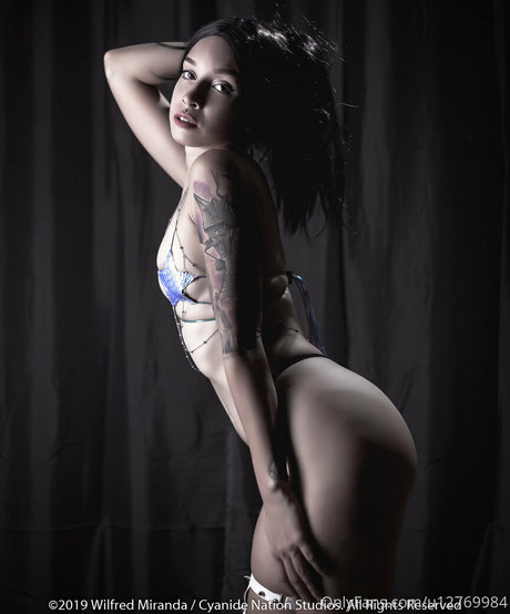 lokikypo meilleure star du porno collection