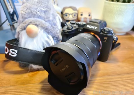 cuisses épaisses onlyfans érotique des photos