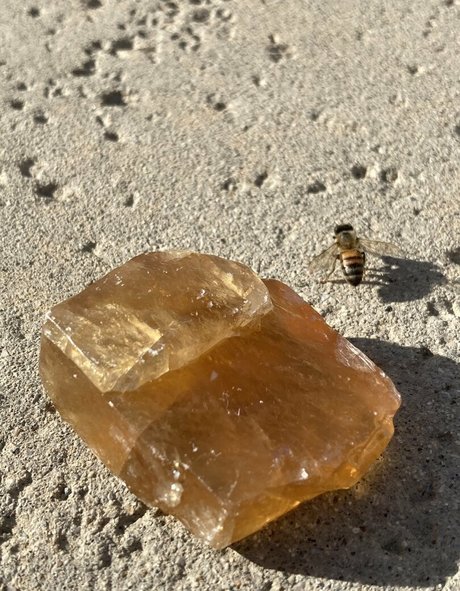 fans de sperme uniquement porno gratuit images