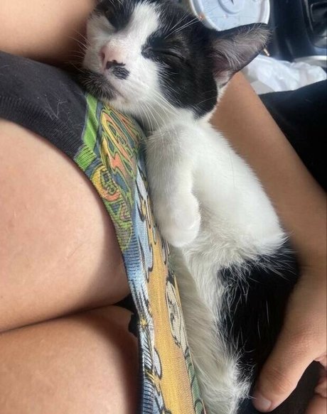 Uculdcme meilleur modèle photos