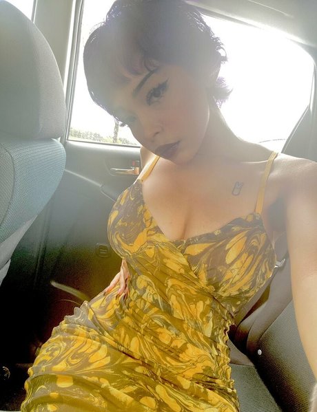 Uculdcme étoile adulte galeries