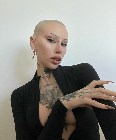 Siiickbrain belle étoile collection