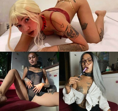 thickbabyzara star exclusive collection