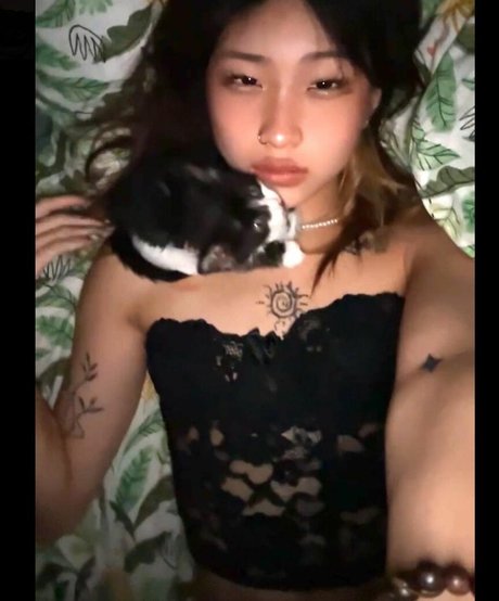 Rache lzh star érotique photos